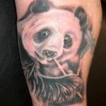 Panda tattoo – tähendus ja kujundused tüdrukutele ja meestele