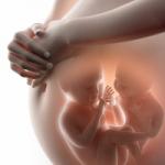 Mișcarea fătului în timpul sarcinii - când încep mișcările, primele lovituri ale copilului